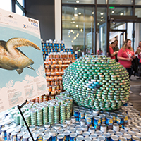 Sea Turtle made out of canned food